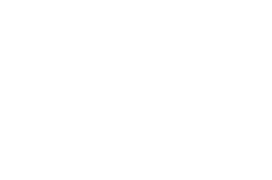 Seed Wealth Group Logo